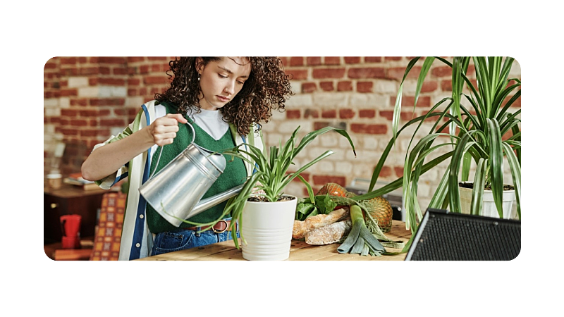 Bilanzsteigerung durch CO2 Ausgleiche